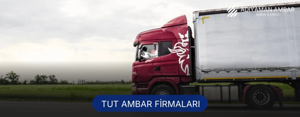 Tut Ambar Taşımacılık